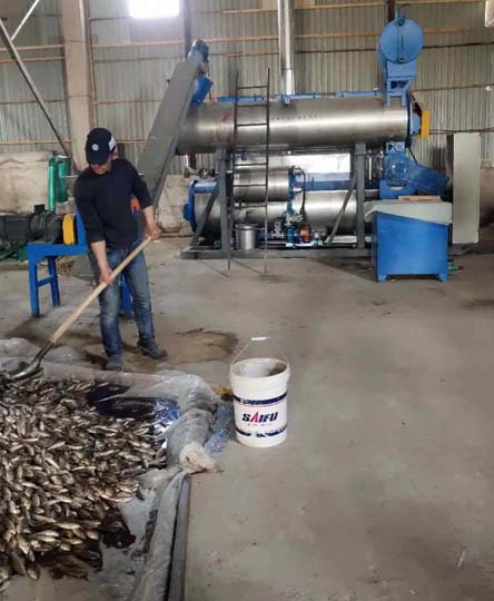 fishmeal making workshop in Morocco